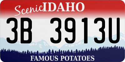 ID license plate 3B3913U