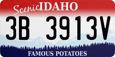ID license plate 3B3913V