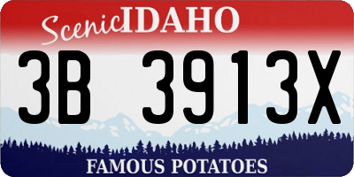 ID license plate 3B3913X