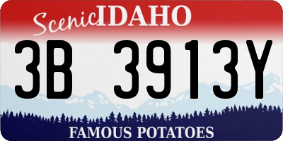 ID license plate 3B3913Y