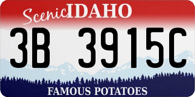 ID license plate 3B3915C