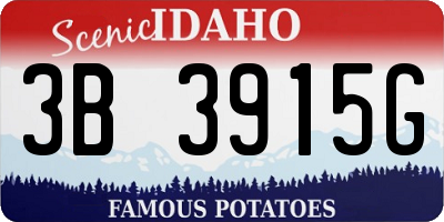 ID license plate 3B3915G