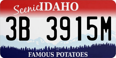 ID license plate 3B3915M