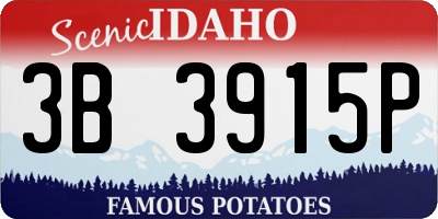 ID license plate 3B3915P