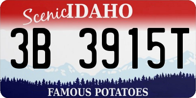 ID license plate 3B3915T