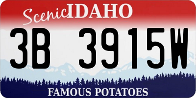 ID license plate 3B3915W