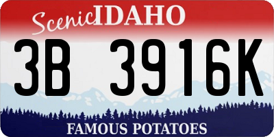 ID license plate 3B3916K