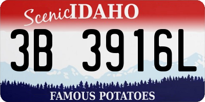 ID license plate 3B3916L