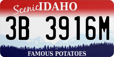 ID license plate 3B3916M