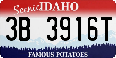 ID license plate 3B3916T