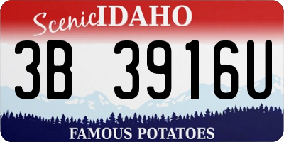 ID license plate 3B3916U