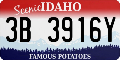 ID license plate 3B3916Y