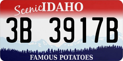 ID license plate 3B3917B
