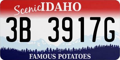 ID license plate 3B3917G