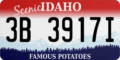ID license plate 3B3917I