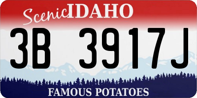 ID license plate 3B3917J