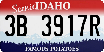 ID license plate 3B3917R