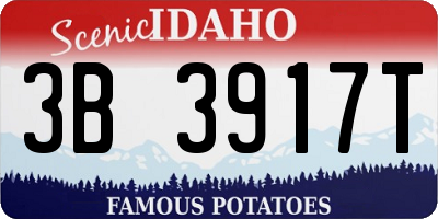 ID license plate 3B3917T
