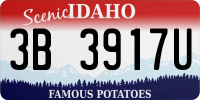 ID license plate 3B3917U