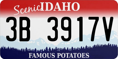 ID license plate 3B3917V