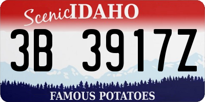 ID license plate 3B3917Z