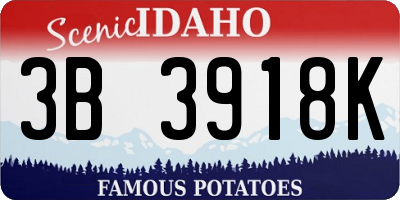 ID license plate 3B3918K