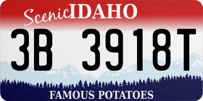 ID license plate 3B3918T