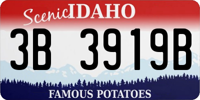 ID license plate 3B3919B