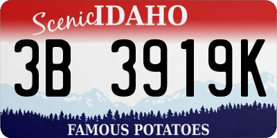 ID license plate 3B3919K