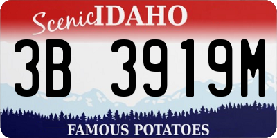 ID license plate 3B3919M