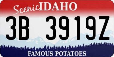 ID license plate 3B3919Z