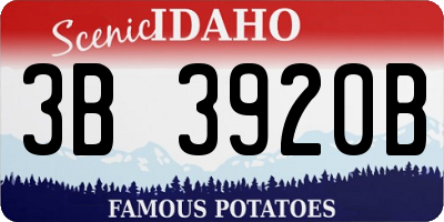 ID license plate 3B3920B
