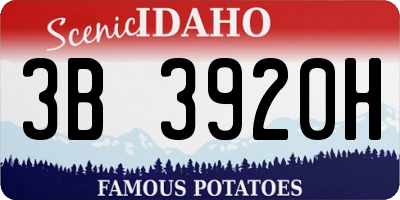 ID license plate 3B3920H