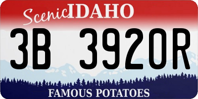 ID license plate 3B3920R