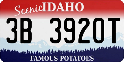 ID license plate 3B3920T
