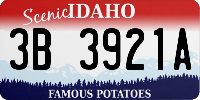 ID license plate 3B3921A