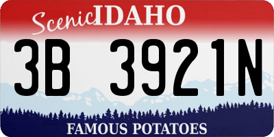 ID license plate 3B3921N