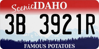 ID license plate 3B3921R