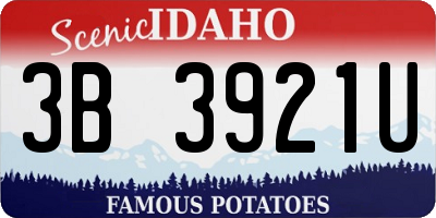 ID license plate 3B3921U