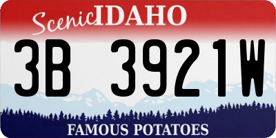 ID license plate 3B3921W