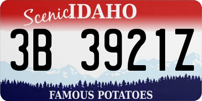 ID license plate 3B3921Z