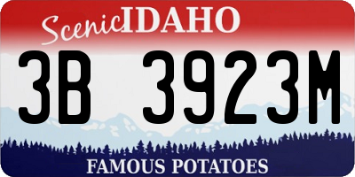 ID license plate 3B3923M