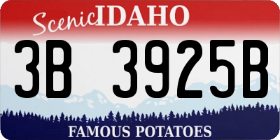 ID license plate 3B3925B
