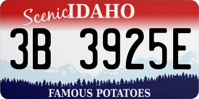 ID license plate 3B3925E