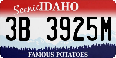 ID license plate 3B3925M