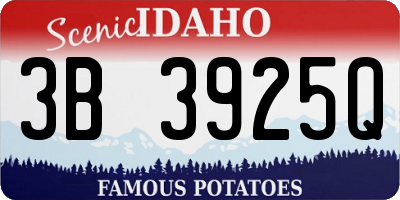 ID license plate 3B3925Q