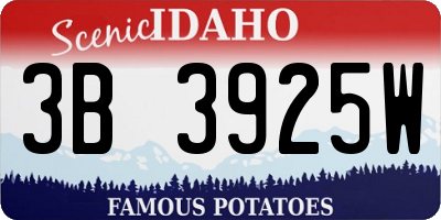 ID license plate 3B3925W