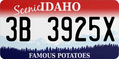 ID license plate 3B3925X