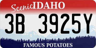 ID license plate 3B3925Y