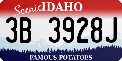 ID license plate 3B3928J